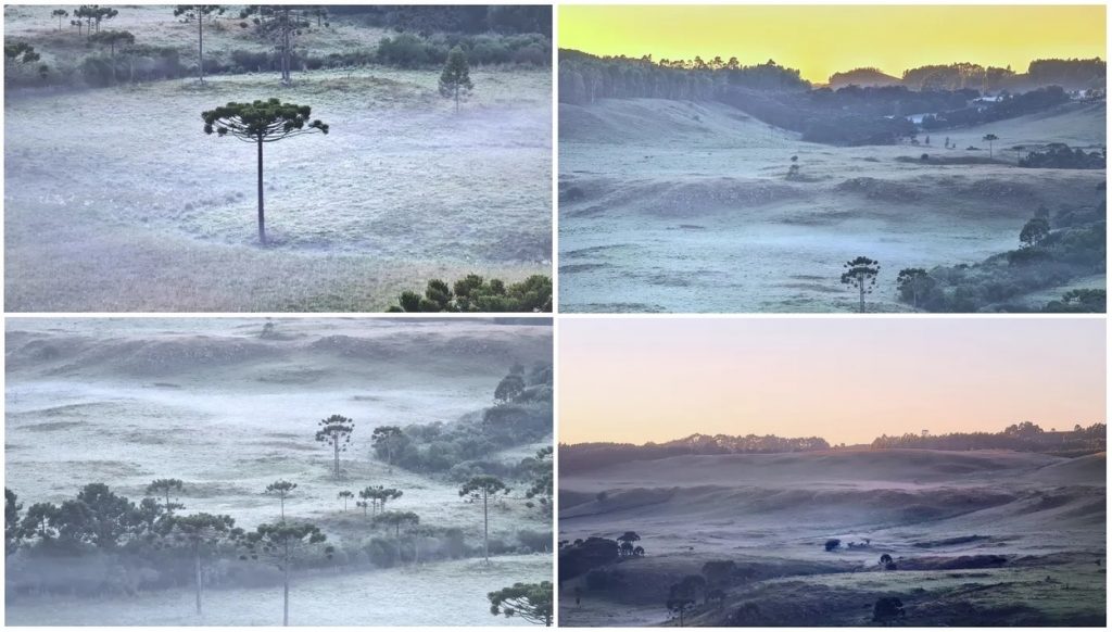 Frio de 4ºC e campos cobertos de geada na metade de fevereiro