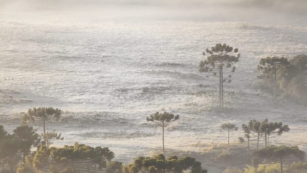 Frio De Quase C Abaixo De Zero No Sul Do Brasil