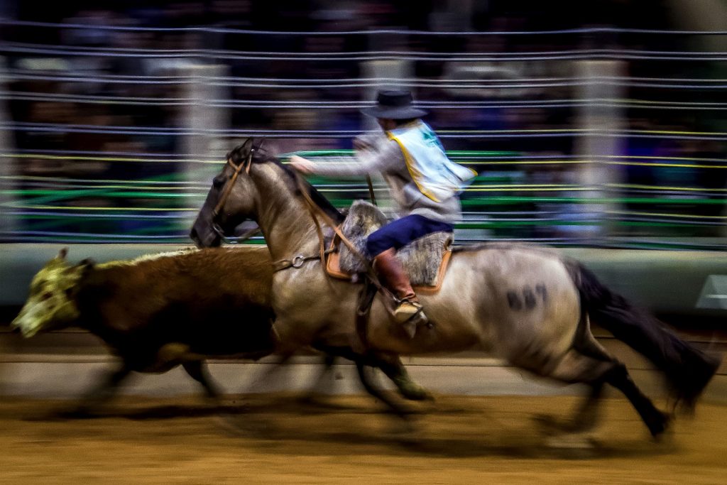 Como Vai Ficar O Tempo Durante A Expointer De