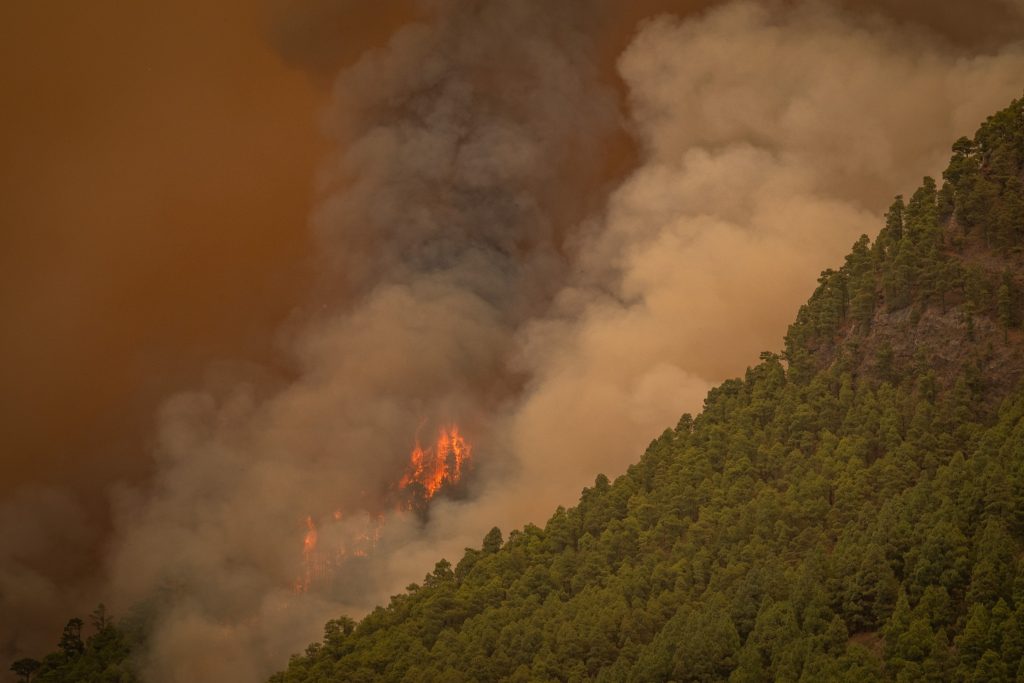 Fogo Traz Imagens Assustadoras Nas Can Rias Veja Fotos E V Deos