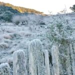 Cartões postais do amanhecer mais frio do ano no Sul do Brasil