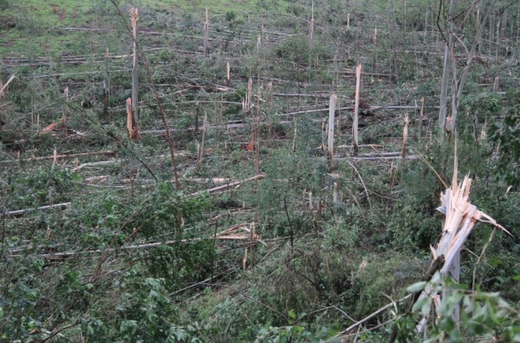 Emergência na Argentina e chuva forte na fronteira gaúcha