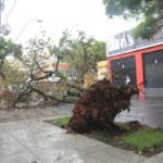 Fevereiro que começou tórrido termina com chuva, vento e frio