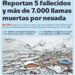 Frio e neve matam 22 mil animais em três países do continente