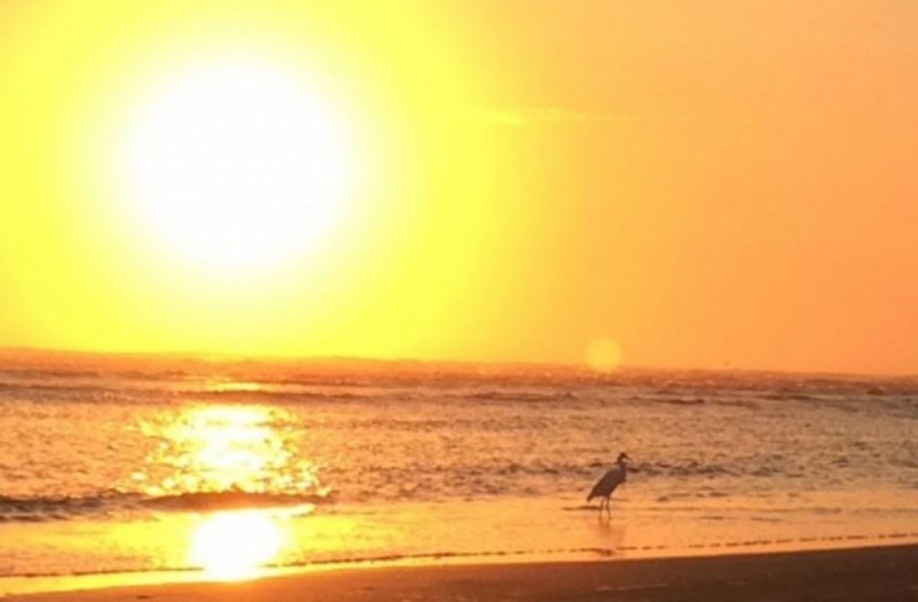 Calor segue extremo hoje e até a metade da próxima semana