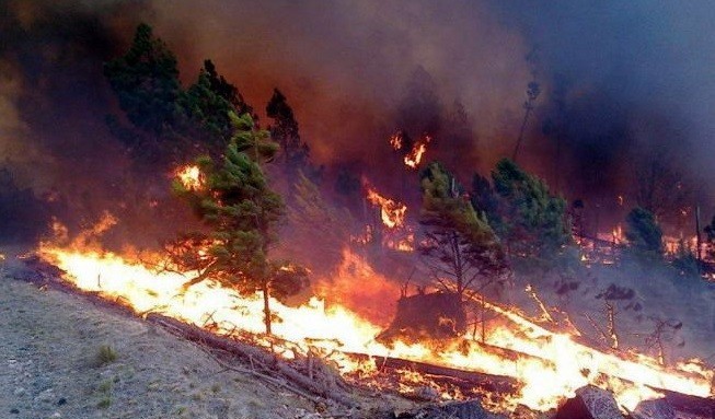 Argentina: recordes de calor de um século e incêndios devastadores