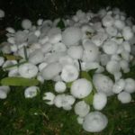 Fim de semana deve ter instabilidade no Sul do Brasil