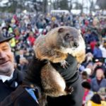 Ordenada a prisão da marmota do tempo após frio e neve recordes
