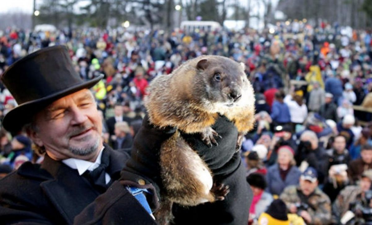 Ordenada a prisão da marmota do tempo após frio e neve recordes