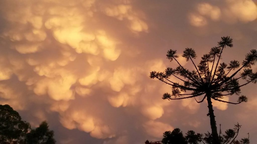 Espetacular aparição de nuvens Mammatus na Serra Gaúcha