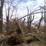 Onda de tempestades deixou quatro mortos na Argentina