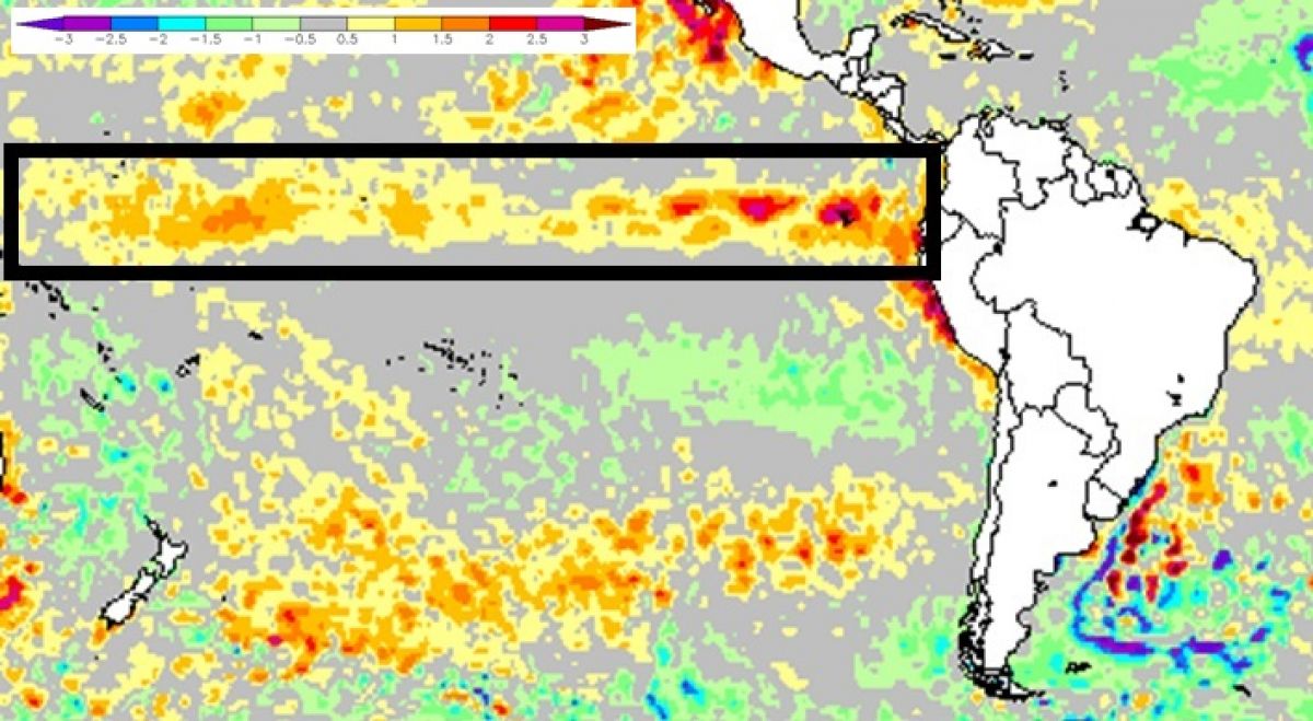 Oceano Pacífico aquece mais e segue em território de El Niño