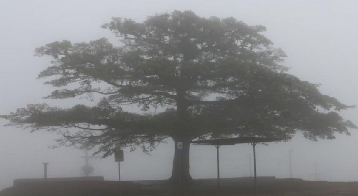 Grêmio tem o “jogo do nevoeiro” em dia de cerração e frio incomuns