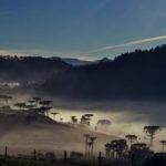 As belas imagens do primeiro amanhecer do inverno de 2014