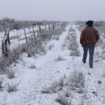 Madrugadas frias vão marcar quase toda esta semana