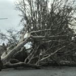 Vento Zonda castiga Mendoza e faz estragos na província