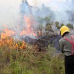 Onda de calor segue com recordes no Vale do Sinos e temporais