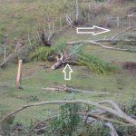 Tornado provoca destruição no interior de Canguçu