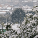 “Como gosta de nevar em dias de fim de semana”