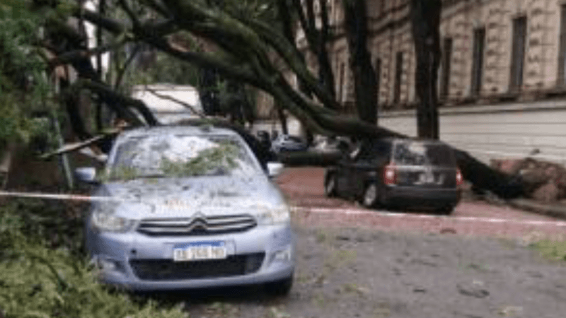 Ciclone extratropical suspende aulas e traz danos na Argentina