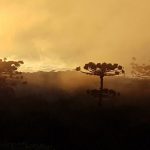 Domingo de sol,  nuvens e nevoeiro