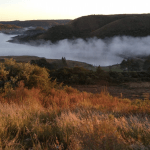 Levantamento exclusivo mostra a escassez de frio neste outono