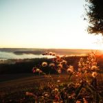 Imagens do amanhecer gelado do Dia do Trabalho em Três de Maio
