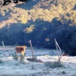 Semana começa fria e terminará gélida com geada e chance de neve