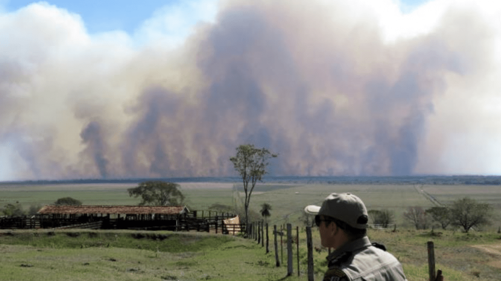 Fogo consome parque nacional no Paraná em meio à estiagem