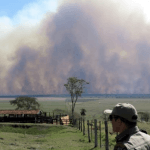 Fogo consome parque nacional no Paraná em meio à estiagem