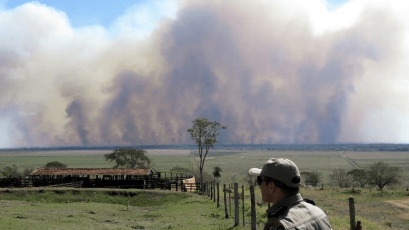 Fogo consome parque nacional no Paraná em meio à estiagem