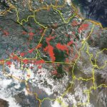 Queimadas na Amazônia crescem, mas estão na média de 20 anos
