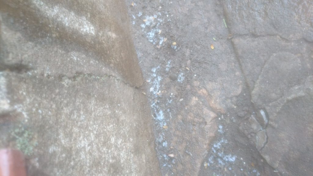 Muito frio e chuva congelada