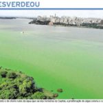 Padrão climático favorece proliferação de algas no Guaíba