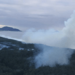 Região de Florianópolis sofre com incêndios em meio à estiagem
