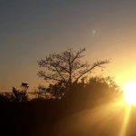 Sol aparece em dia que começa frio e será agradável