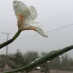 Avanço de ar seco e frio vai melhorar o tempo hoje