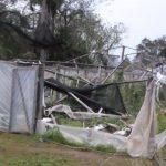 Semana que terá cara de verão começou com vendavais