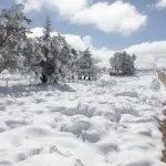 Neve dá espetáculo na Argentina e pode cair no Sul do Brasil