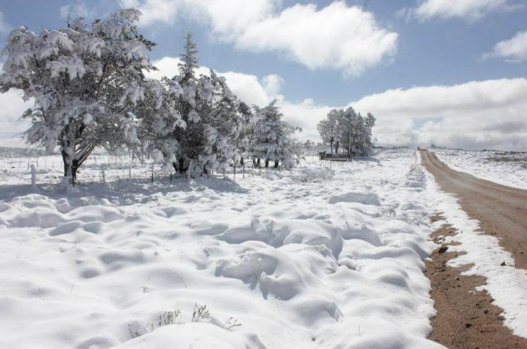 Neve dá espetáculo na Argentina e pode cair no Sul do Brasil