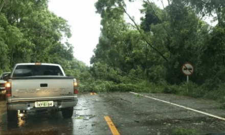 Inundação relâmpago e vendaval em municípios do Norte gaúcho