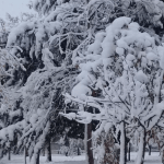 Neve e -10°C na Argentina