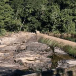 Ótima notícia para Santa Catarina