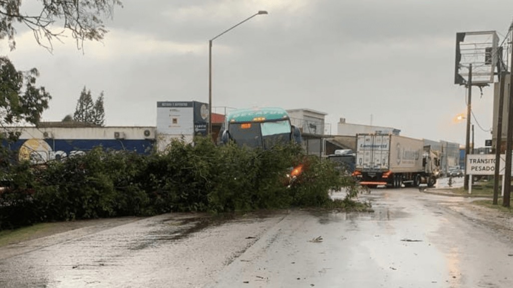 Tempestade severa faz estragos na fronteira com o Uruguai