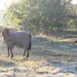 Julho começa com temperatura abaixo de zero