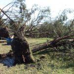 Vendaval e granizo provocam estragos no Sul do Estado