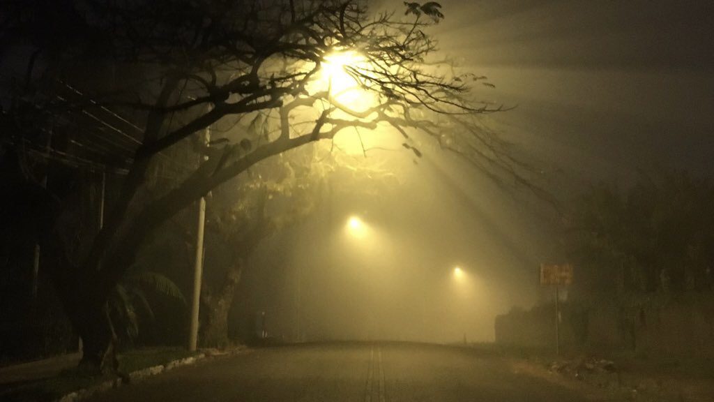 Quarta-feira de nevoeiro e sol