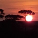 Quarto dia seguido com mínimas negativas no Estado