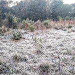 Semana começou com marcas negativas no Rio Grande do Sul