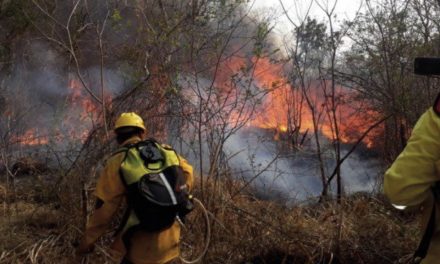 Bolívia vive desastre ambiental pela onda de incêndios